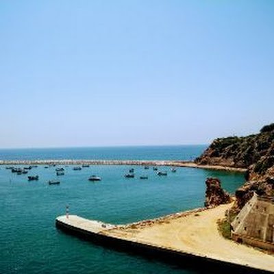 stephengott3's profile picture. 