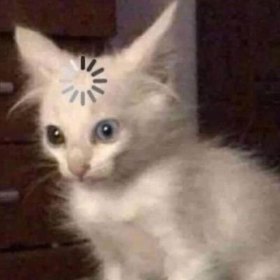 _karina_:pさんのプロフィール画像