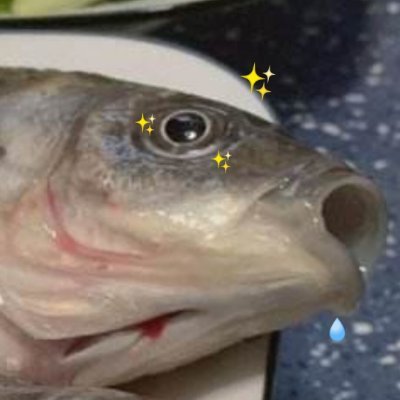 ShinyLaFishさんのプロフィール画像