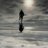bernhard_racher's profile image