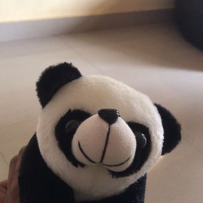 sidwakeupyaa's profile picture. karma💯