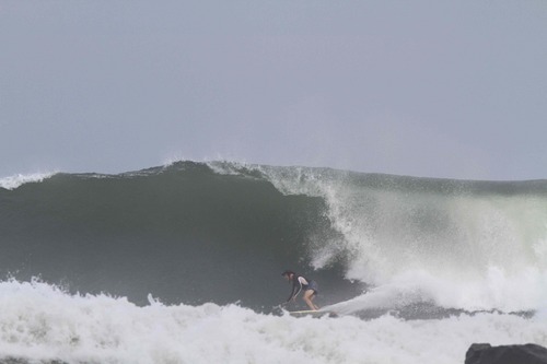 aplysia99's profile picture. 