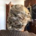 Isabel Labella (@labellaisabel) Twitter profile photo Isabel Labella (@labellaisabel) Twitter profile photo