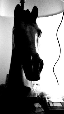 ASoapstone's profile picture. 