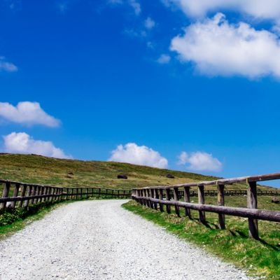 メンタルアカ🍀
’22年4月にパニック障害と鬱と診断されたので記録として始めました🌼4月初め頃から休職→’22年11月から復職→’23年2月休職→3月再復職→5~8月休職→9月再々復職