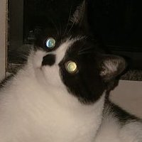 Eiov_pasl (@horsemynewhorse) 's Twitter Profile Photo Eiov_pasl (@horsemynewhorse) 's Twitter Profile Photo
