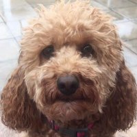 TR (@timbo246) 's Twitter Profile