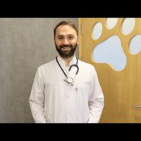 Vet.Dr. Bertuğ B. Çiftçi (@bertug_ciftci) 's Twitter Profile