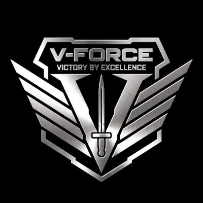 VFORCETraining1 Profile Picture