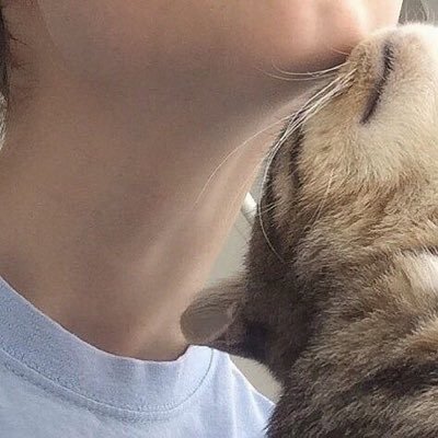🌞さんのプロフィール画像