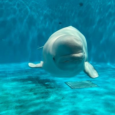 お笑い好き よく劇場に行ってます 金属バット、黒帯、マユリカ、カラタチ、ランジャタイ... NGK、マンゲキ、森ノ宮など行ったライブの感想とか書いてます フォロー歓迎 無言フォロー失礼します
