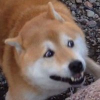 nz (@nunzaa007) 's Twitter Profile Photo