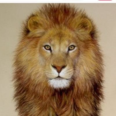 karizma64usak's profile picture. Tek erkek olarak evli çift tek bayan cd travesti ve gay kafalar uysun ve saygı sevgi dosluk güven ve temiz bir şekilde dans kostüm eğlence fantazi hersey tek by