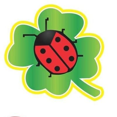 GardenEnnis's profile picture. Everything to create a beautiful garden