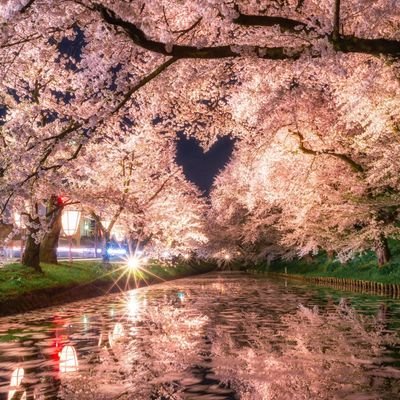 until0505's profile picture. 