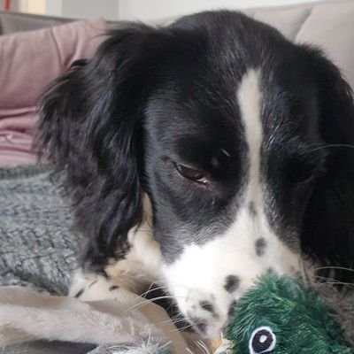 marcodas146's profile picture. Trying to amuse myself. I got nothing.