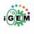 iGEM Community
