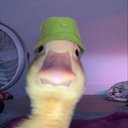 Max Enders - @micsaaFN - Twitter