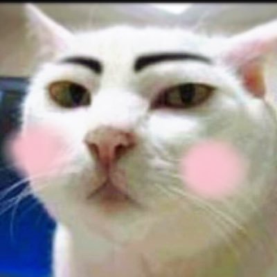 ド・ギョンス🐧溺愛中。EXOちゃんドペンよりのオルペン。単なる手フェチ。 久々に育っていくのを見たいと思ったEPEX。うぃしくんの手は手フェチの心をくすぐる。