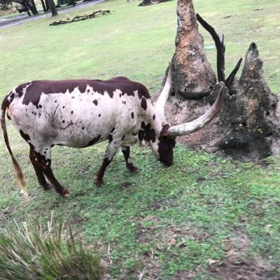 Lokeshbhat25's profile picture. Fun