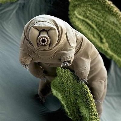 chris125088028's profile picture. 僕は中国人です、中国と日本の文化が好きだ、しかし、中国共産党が日本を悪くて言うのが嫌だ！！中国≠中国共産党！！