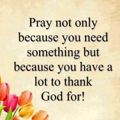 Trizerkiesh's profile picture. 