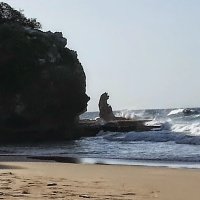 Ocean0rly (@orlando00185216) 's Twitter Profile