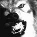 Stonewolf5 (@stonemystic1) Twitter profile photo Stonewolf5 (@stonemystic1) Twitter profile photo