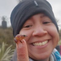 Gecko_Girl (@unalagarta) 's Twitter Profile