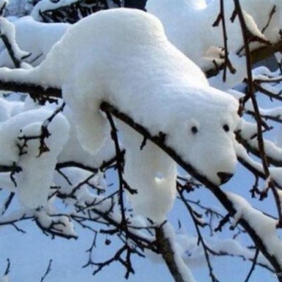ikudev's profile picture. A right-wing developer