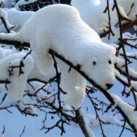 Edgar (@ikudev) 's Twitter Profile