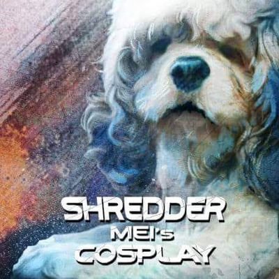 shredder_mei Profile Picture