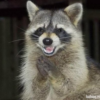 Rarebacontf2's profile picture. 