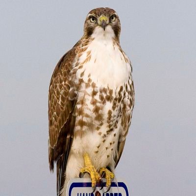 USMC 77-80/Albanian refugee/Pro Trump/Anti Communist/Anti Woke