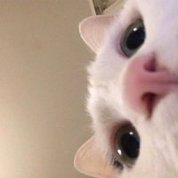 서지 (@biblioday) 's Twitter Profile Photo 서지 (@biblioday) 's Twitter Profile Photo