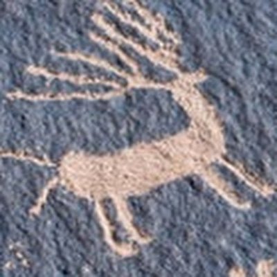 marcoslagoal's profile picture. 