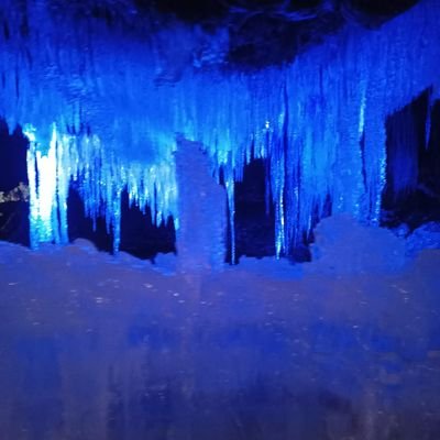 gizmek_ut's profile picture. ‼️衝撃‼️クリリンの髪の剃り方⬆️⬆️⬆️