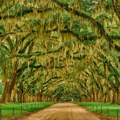 A Landscape Photographer seeking the beauty all around us