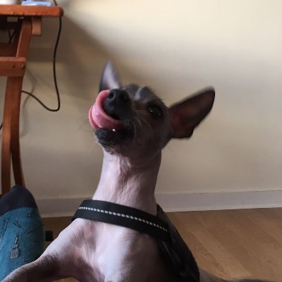 RegSnowdon's profile picture. "Batten down the hatches" (@VD718, 17 June 2022).