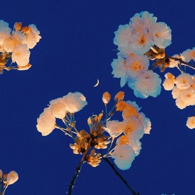 饴村小故🍬さんのプロフィール画像