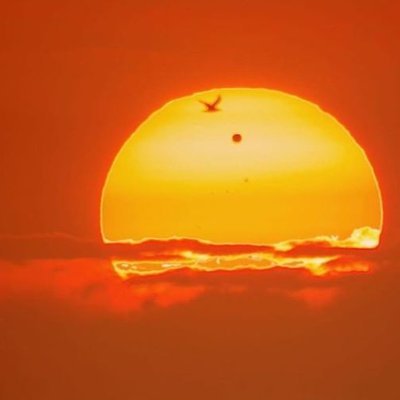 stars_collapse's profile picture. 随便瞎说