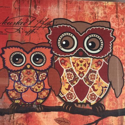 FatimaAMiguel63's profile picture. 