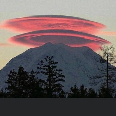 josephL07645772's profile picture. FREE SPEECH