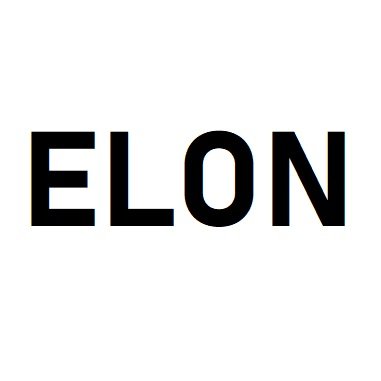 Elon Mask Profile