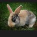 zoll berger der aufräumer (@e470b1fcc93a4ba) Twitter profile photo zoll berger der aufräumer (@e470b1fcc93a4ba) Twitter profile photo