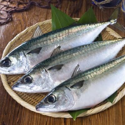 日々思ったこと ※無言フォロー歓迎です。初めての絡みなのに侮辱的な言葉や思想の決めつけなど礼儀に欠ける方は即ブロックします。(アキシン、れいわ信者、動物愛誤者も場合によってはブロックします)