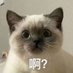 是Cccw (@iscccw) Twitter profile photo 是Cccw (@iscccw) Twitter profile photo