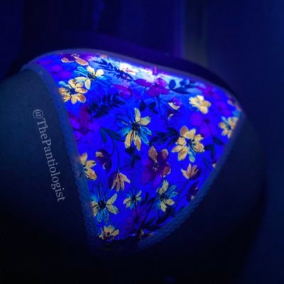 ThePantiologist's profile picture. 18+ PhD in Pantiology👙 #MeUndies stay undefeated (Not sponsored)