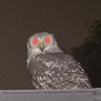 tristan doust (@d2k9drd6d9) 's Twitter Profile