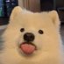 มุมิ @แอะ (@condyhan_) Twitter profile photo มุมิ @แอะ (@condyhan_) Twitter profile photo